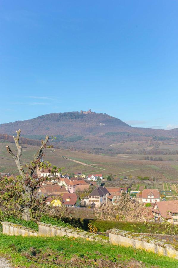 Gite La Rodernelle - Sauna Privatif - Climatisation - Vue Sur Le Chateau Du Haut Koenigsbourg Esterno foto