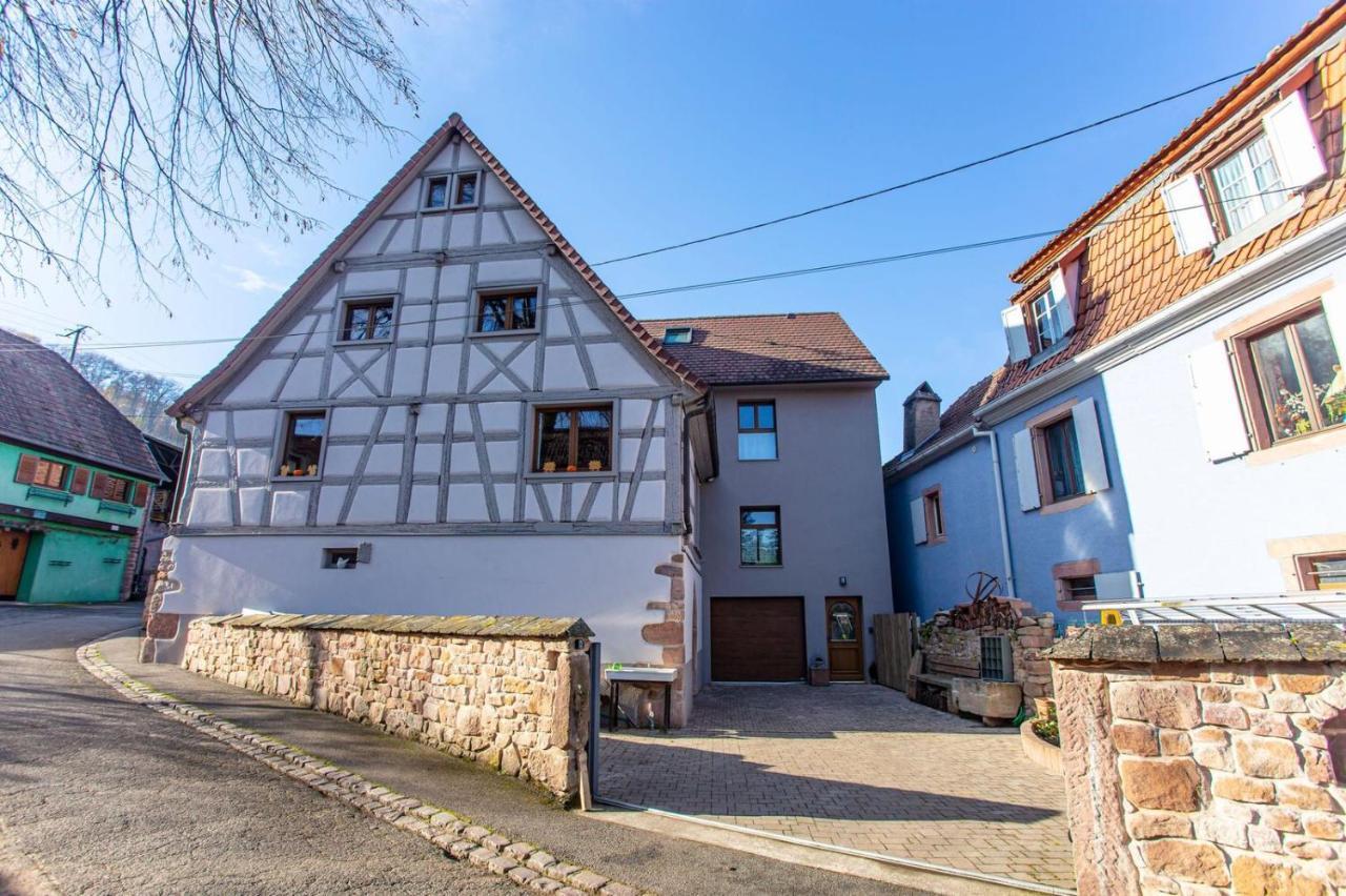 Gite La Rodernelle - Sauna Privatif - Climatisation - Vue Sur Le Chateau Du Haut Koenigsbourg Esterno foto