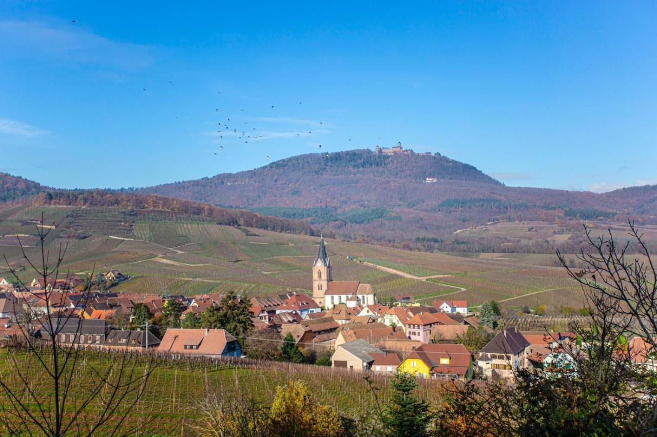 Gite La Rodernelle - Sauna Privatif - Climatisation - Vue Sur Le Chateau Du Haut Koenigsbourg Esterno foto